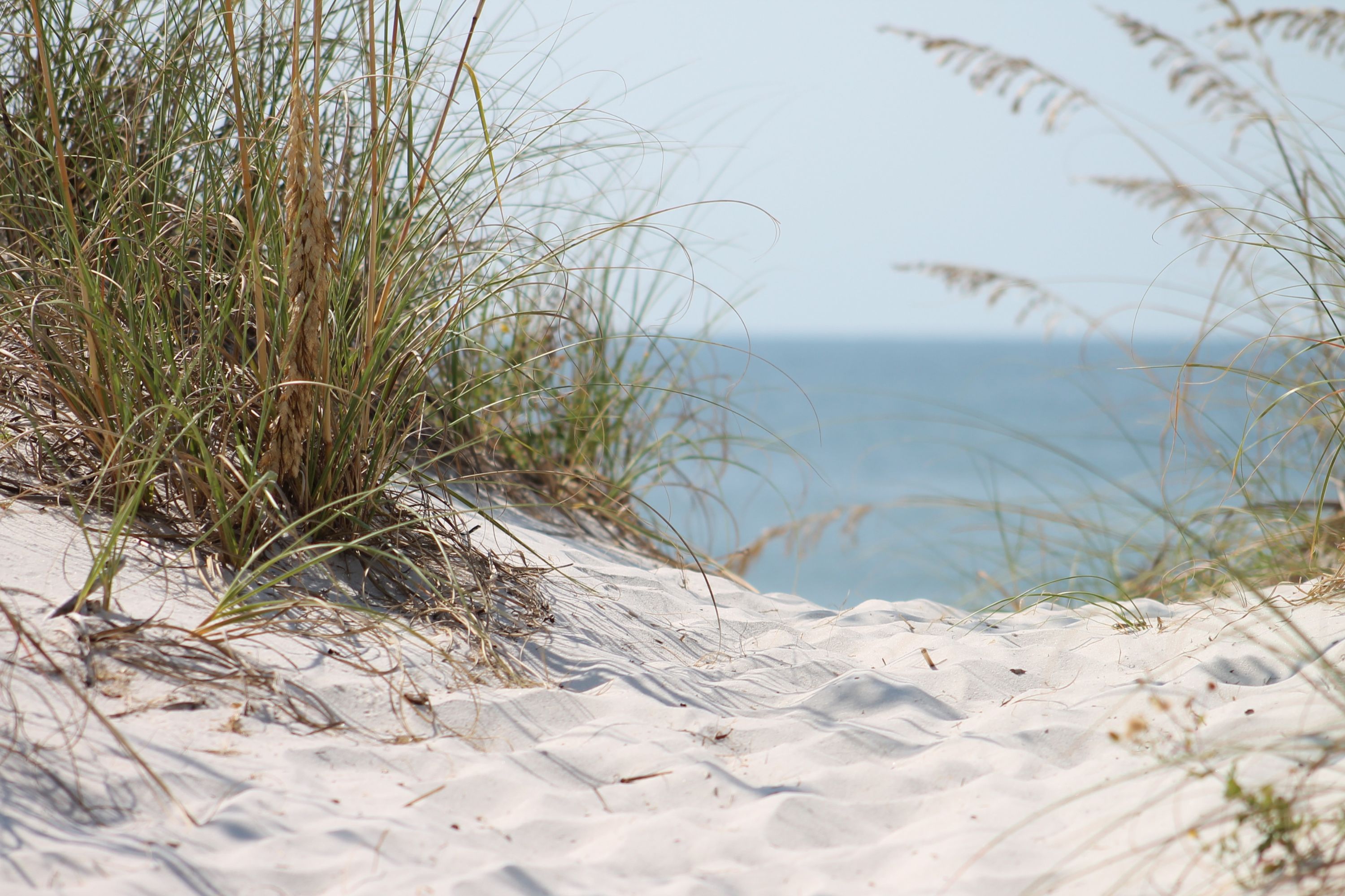 View of the ocean from the dunes on the beach