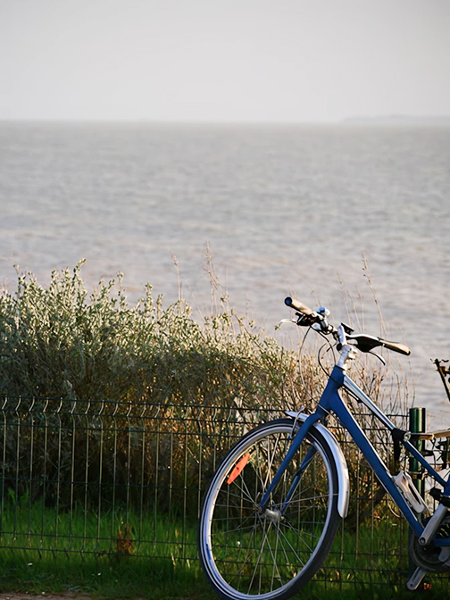 Bicycle Parked Against A Fence Facing The Ocean