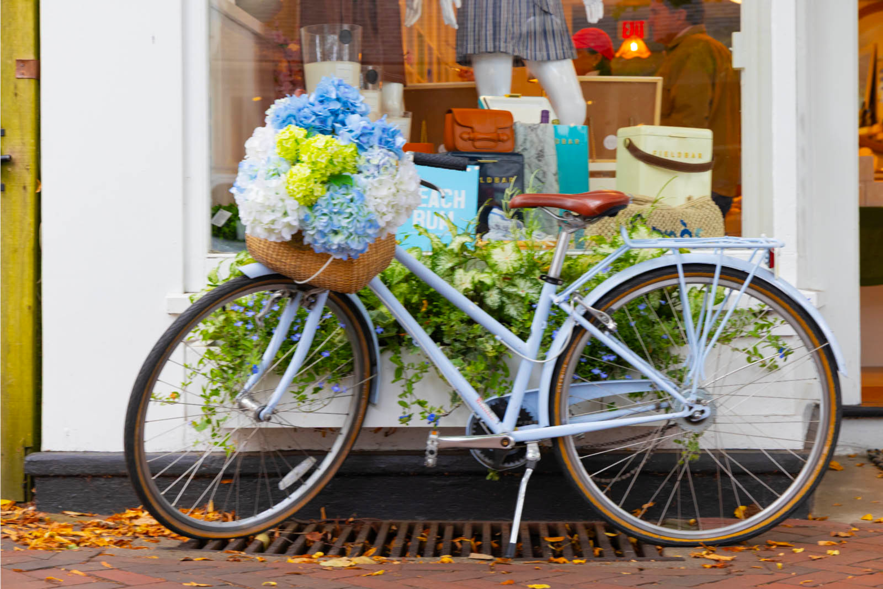 142144 Website Images Fall Offer (66)
